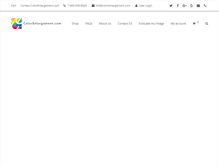 Tablet Screenshot of colorenlargement.com